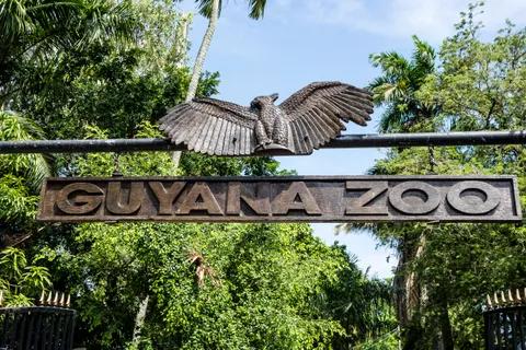 Zoo de Guyane