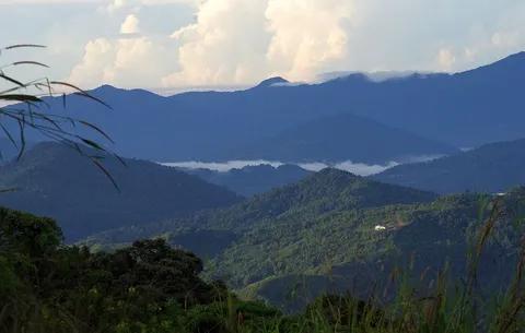 Taman Negara Gunung Kinabalu, Kundasang, Sabah.