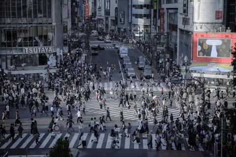 Shibuya Crossing Intersection