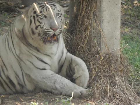 Pradhyuman Zoological Park