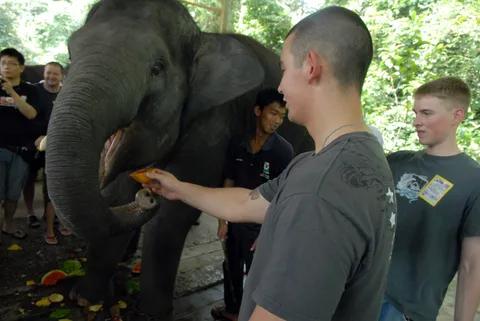 Kuala Gandah National Elephant Conservation Centre